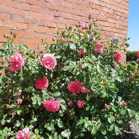 Holiday home Monteurzimmer Ausma Wymeer Bunde - Heerenland *