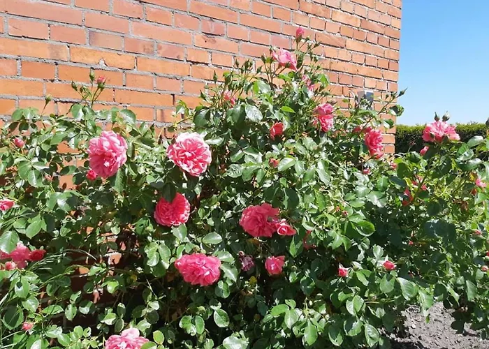 Prázdninový dům Monteurzimmer Ausma Wymeer - Heerenland *